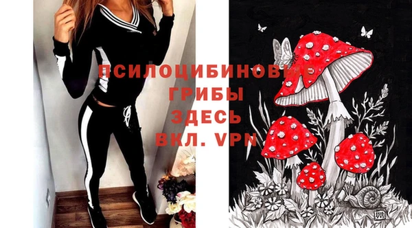 гидропоника Арсеньев