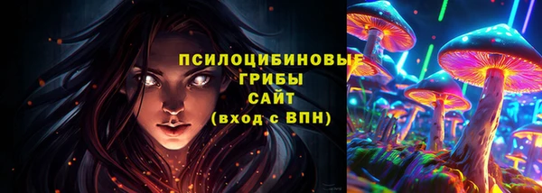 гидропоника Арсеньев
