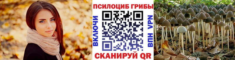 Галлюциногенные грибы ЛСД  где продают наркотики  Дюртюли 